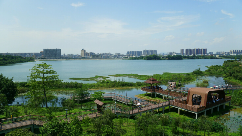 盤(pán)點(diǎn)深圳十大最美公園，你最?lèi)?ài)的是哪個(gè)公園？